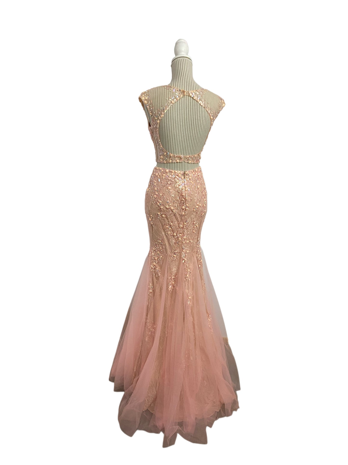 Glamor - rose blush - 4 ans