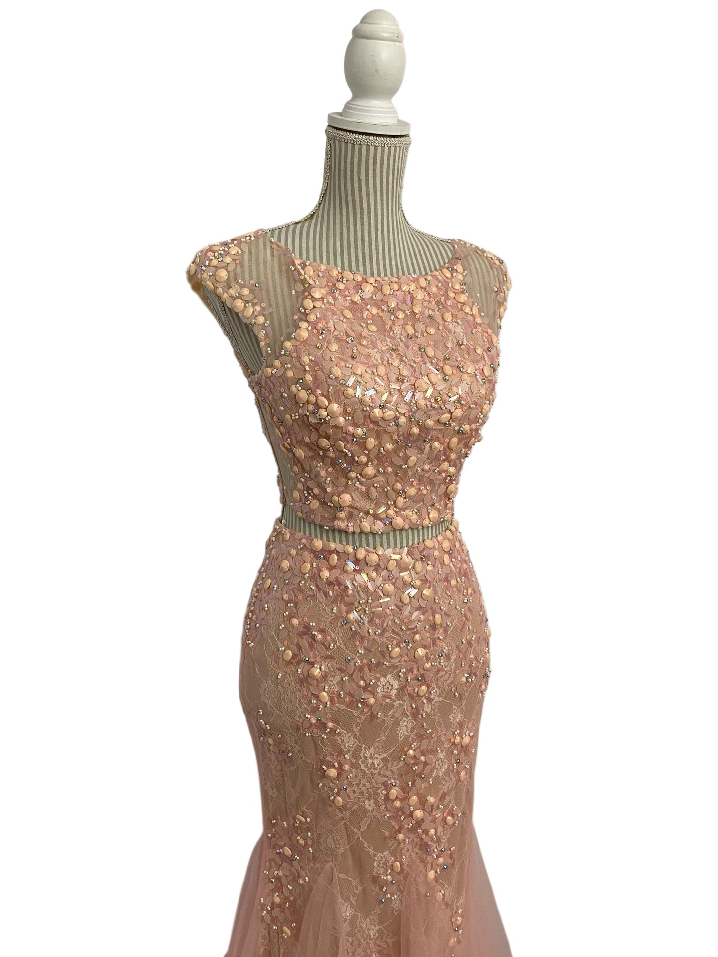 Glamor - rose blush - 4 ans